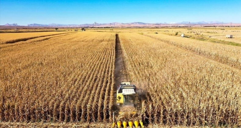Çiftçinin Enflasyonu Ekim'de Yüzde 45,40