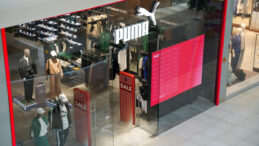 &Ccedil;inli Dev, Puma'nın Peşinde
