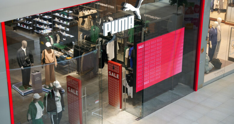 &Ccedil;inli Dev, Puma'nın Peşinde