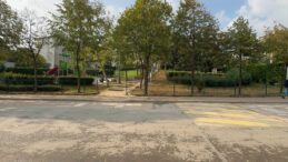 Çöp Kamyonunun Çarptığı İşçi Hayatını Kaybetti