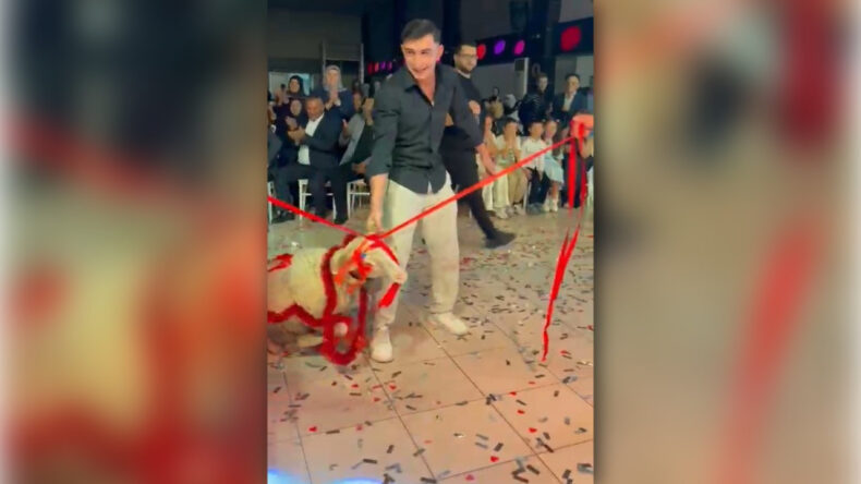 Damat i&ccedil;in Şaşırtıcı Hediye