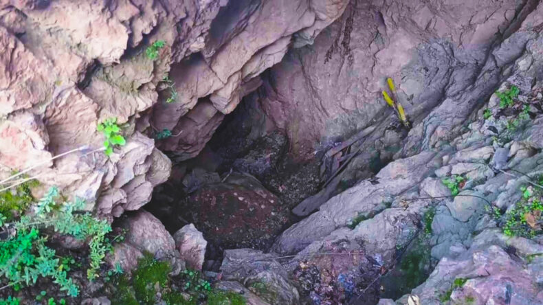 Defineciler Kendini Aşmış