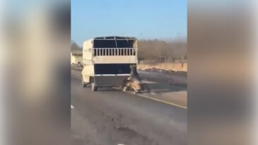 Dehşet: Kamyonetin Arkasına Bağladığı Atı Dakikalarca S&uuml;r&uuml;kledi