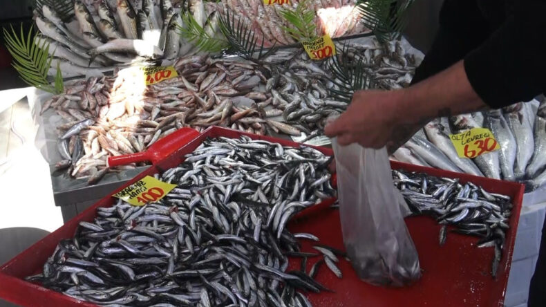 Deniz Yok, Balık Var: Kilosu 100 Liraya D&uuml;ş&uuml;ş G&ouml;sterdi