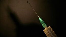 Destekli &Ouml;l&uuml;m Yasası İ&ccedil;in Referandum Sonu&ccedil;landı