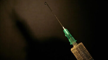 Destekli &Ouml;l&uuml;m Yasası İ&ccedil;in Referandum Sonu&ccedil;landı