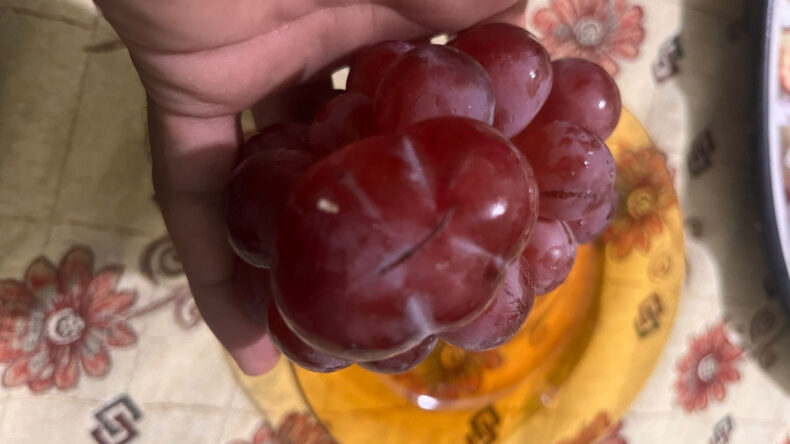 Dev &Uuml;z&uuml;m Tanesi Sıradışı Boyutlarıyla G&ouml;z Dolduruyor