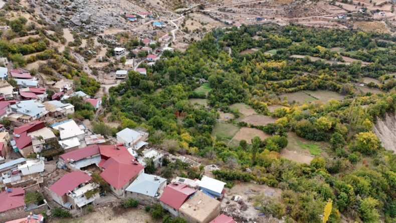 Diyarbakır'ın Bu Köyünde Portakal ve Fındık Yan Yana Yetişiyor