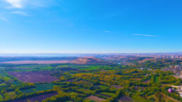 Diyarbakır’ın 8 Bin Yıllık Gizli Hazinesi: UNESCO listesindeki Bahçe Mest Etti