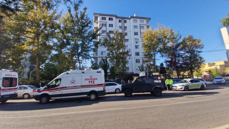 Diyarbakır’da Annesi ve Ağabeyini Öldüren Genç Tutuklandı