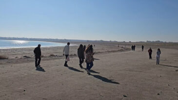 Doğa Alarm Veriyor: Arin G&ouml;l&uuml; Hızla Yok Olma Tehdidiyle Karşı Karşıya