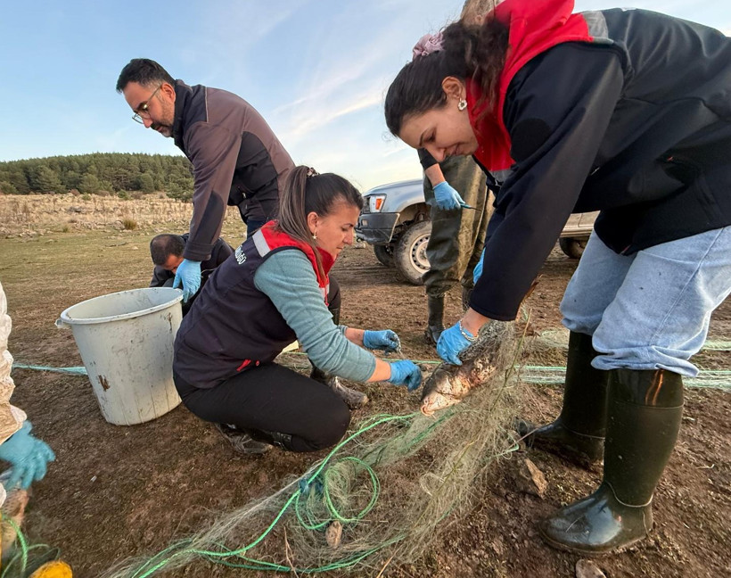 Gölette kurtarılan balıklar