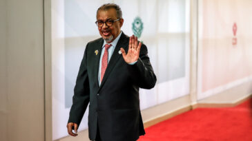 DS&Ouml;: Her yıl 1 milyon kişi t&uuml;berk&uuml;lozdan &ouml;l&uuml;yor