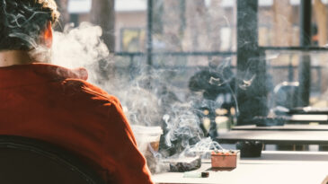 D&uuml;nya Tarihinde Bir İlk: 2007'den Sonra Doğanlara Sigara Yasağı