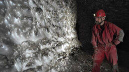 Dünyanın en büyük örümcek ağı bulundu: İçinden 110 binden fazla örümcek çıktı