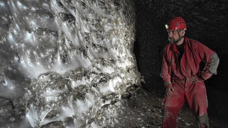 Dünyanın en büyük örümcek ağı bulundu: İçinden 110 binden fazla örümcek çıktı