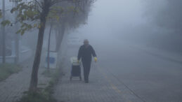 Edirne’de Sabah Sis Etkili Oldu: Görüş Mesafesi Düşüyor