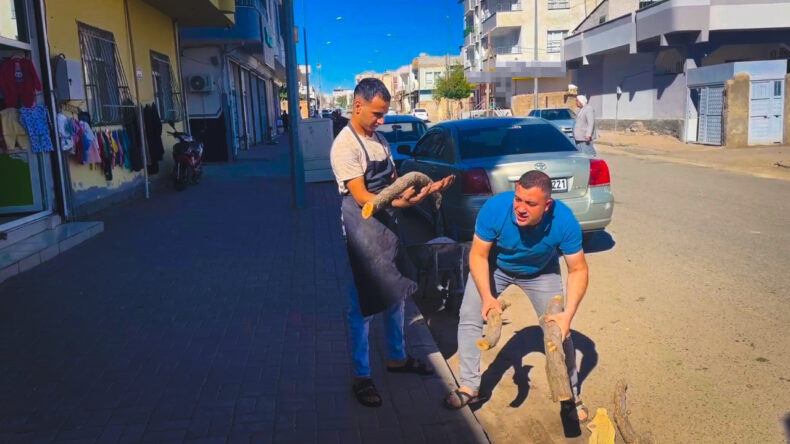 Ehliyet Başvurusunda Büyük Şok: Kimse Düzeltimedi