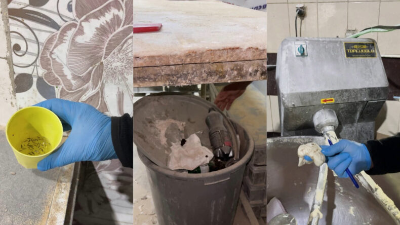 Ekmek Fırınında İğren&ccedil; Manzara! B&ouml;cekler Ortalıkta Dolaşıyor