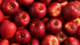 Elma Fiyatları Y&uuml;kseliyor