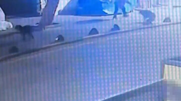 Emekli Astsubay, Sokak K&ouml;peğini Tabancayla Vurdu