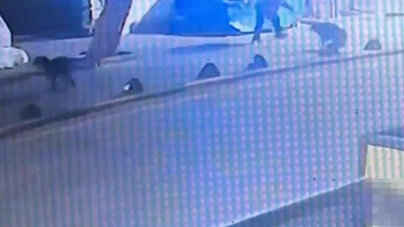 Emekli Astsubay, Sokak Köpeğini Tabancayla Vurdu