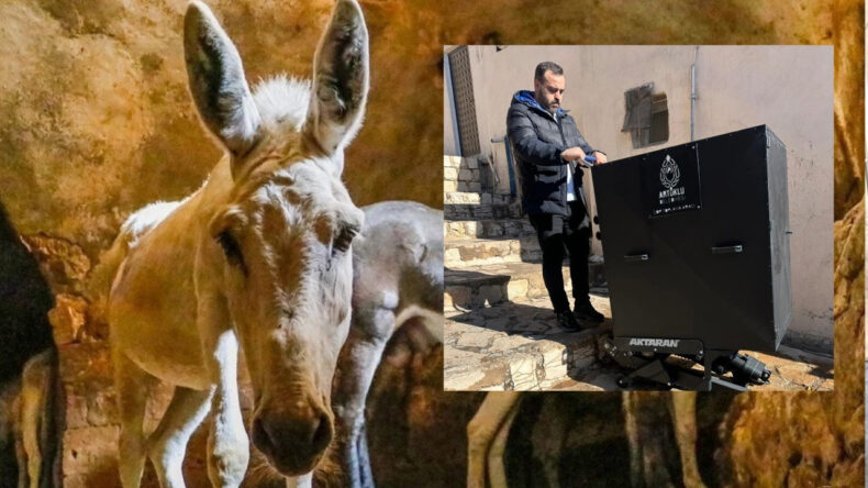 Eşekler Emekli Oluyor, Yerlerini Paletli Araçlar Alıyor