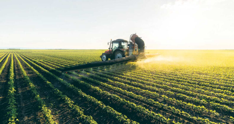 FAO'dan Türkiye'ye 8,1 Milyon Dolarlık Destek