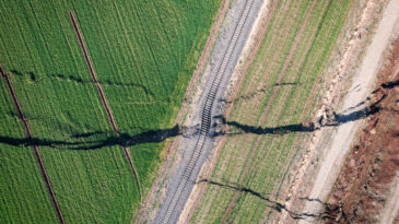 Fay Hatları &Uuml;zerine &Ccedil;arpıcı Araştırma