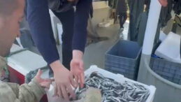 Fiyatı G&ouml;r&uuml;nce &Ccedil;ıldırıp Vatandaşa Bedava Dağıttılar