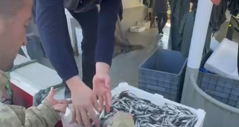 Fiyatı Görünce Çıldırıp Vatandaşa Bedava Dağıttılar