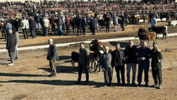 Fiyatlar Altın Gibidir: Alım G&uuml;c&uuml; D&uuml;ş&uuml;yor