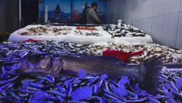 Fiyatların Beklentileri Aştığı An: En Uygun Balığın Kilosu 100 TL