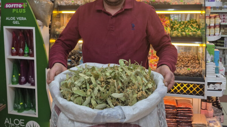 Ge&ccedil;en yıl fiyatları altınla yarışan ıhlamurun fiyatları d&uuml;şt&uuml;