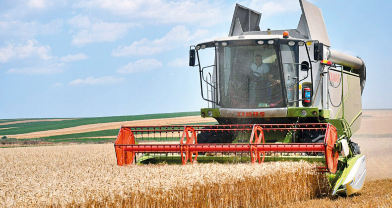 Güneydoğu Anadolu'nun hububat ihracatı gerileme gösterdi