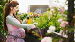 Hamileler için Böcek İlaçlarıyla İlgili Uyarılar