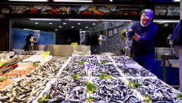 Hamsinin Kilogram Fiyatı 75 Lira