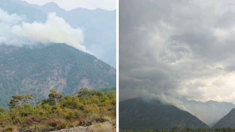 Hatay'da Yıldırım Düşmesi Nedeniyle Orman Yangını Çıktı