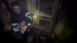 Herkes Seferber Oldu: Yangında Mahsur Kalan G&uuml;vercinler Kurtarıldı