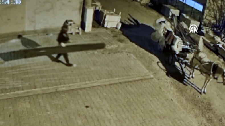 Hırsızlık Olayında At Arabasıyla Kaçış