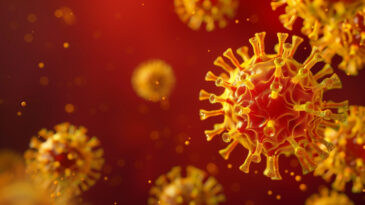 Hızla Yayılan Salgın 29 Can Aldı