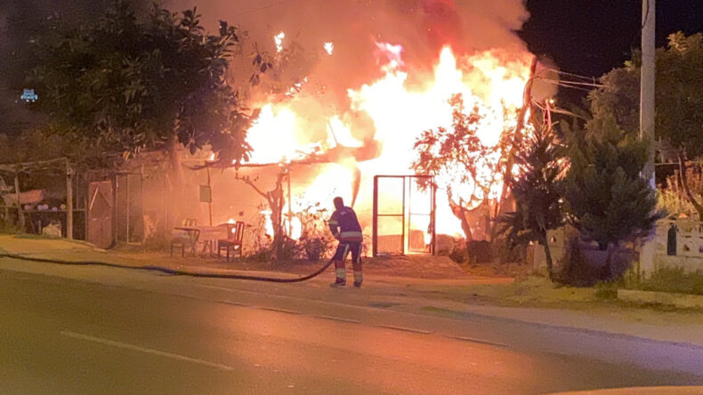 Hobi Bahçesinde Panik Anları