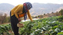 Hobiden Kazanç Kapısı: Malatya’da Kendi Markasını Yarattı
