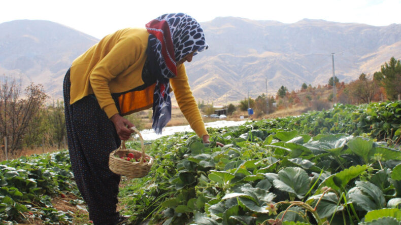 Hobiden Kazanç Kapısı: Malatya’da Kendi Markasını Yarattı