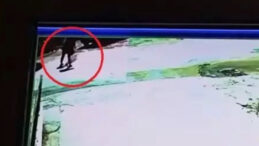 İki kardeşin &ouml;l&uuml;m&uuml;ne neden olan şof&ouml;re istenen ceza belli oldu