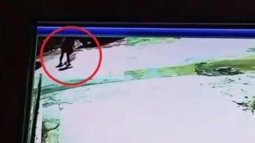 İki kardeşin &ouml;l&uuml;m&uuml;ne neden olan şof&ouml;re istenen ceza belli oldu