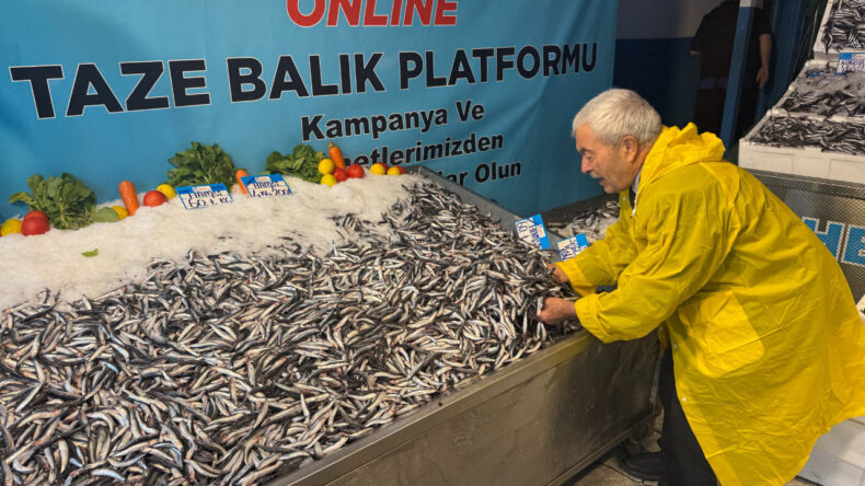 İstanbul Hamsiye Doydu: Fiyatı 60 Liraya Düştü