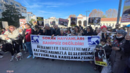 İstanbul Valiliği'nin sokak hayvanları genelgesine yurttaşlardan tepki