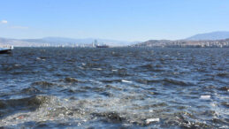 İzmir Körfezi'nde Endişe Verici Durum: Deniz Kahverengiye Dönüşüyor