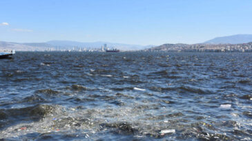 İzmir K&ouml;rfezi'nde Endişe Verici Durum: Deniz Kahverengiye D&ouml;n&uuml;ş&uuml;yor